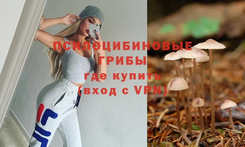 MEGA как войти  как найти закладки  Ялуторовск  Галлюциногенные грибы Psilocybine cubensis 